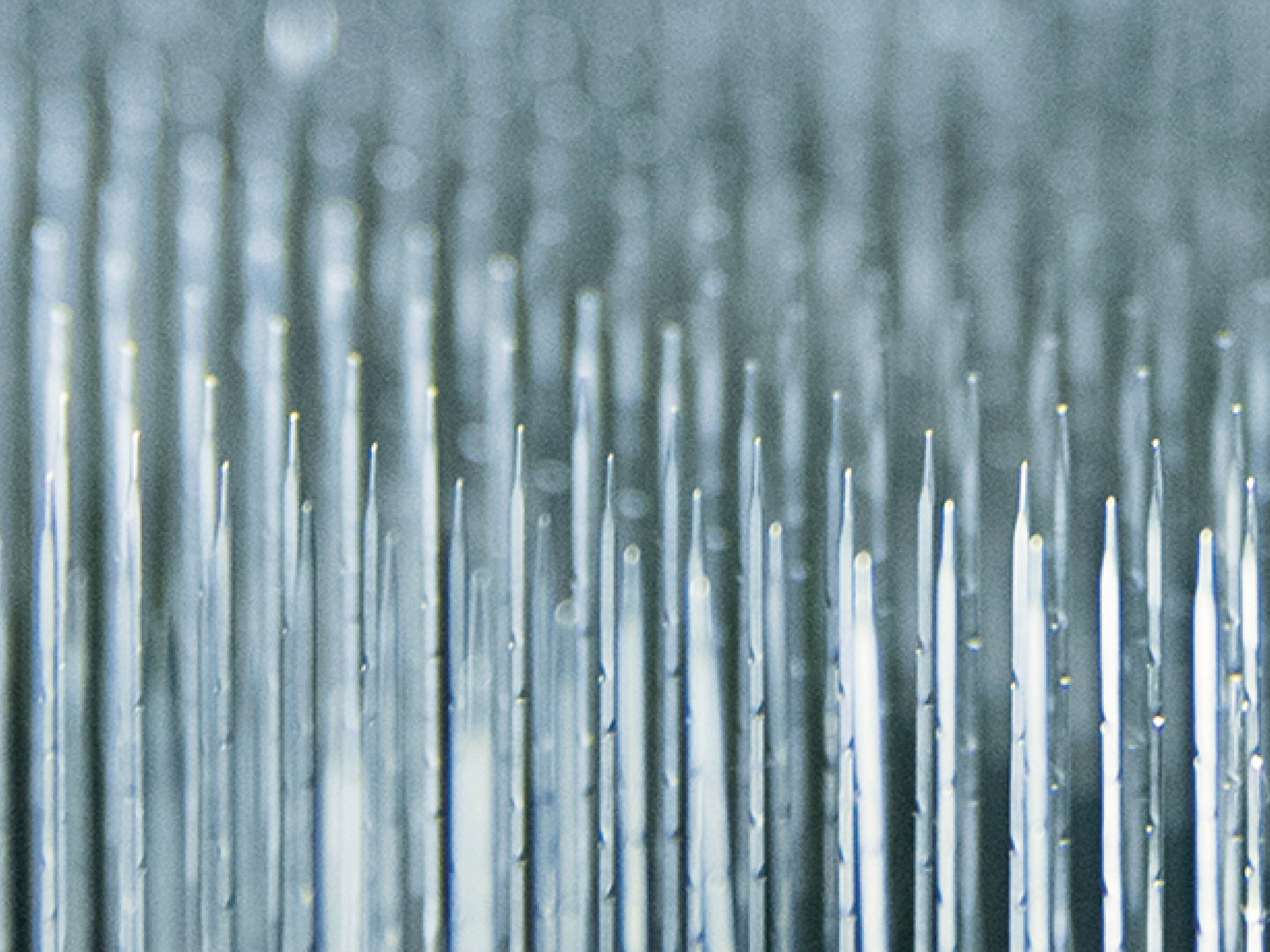 brands bonding processes