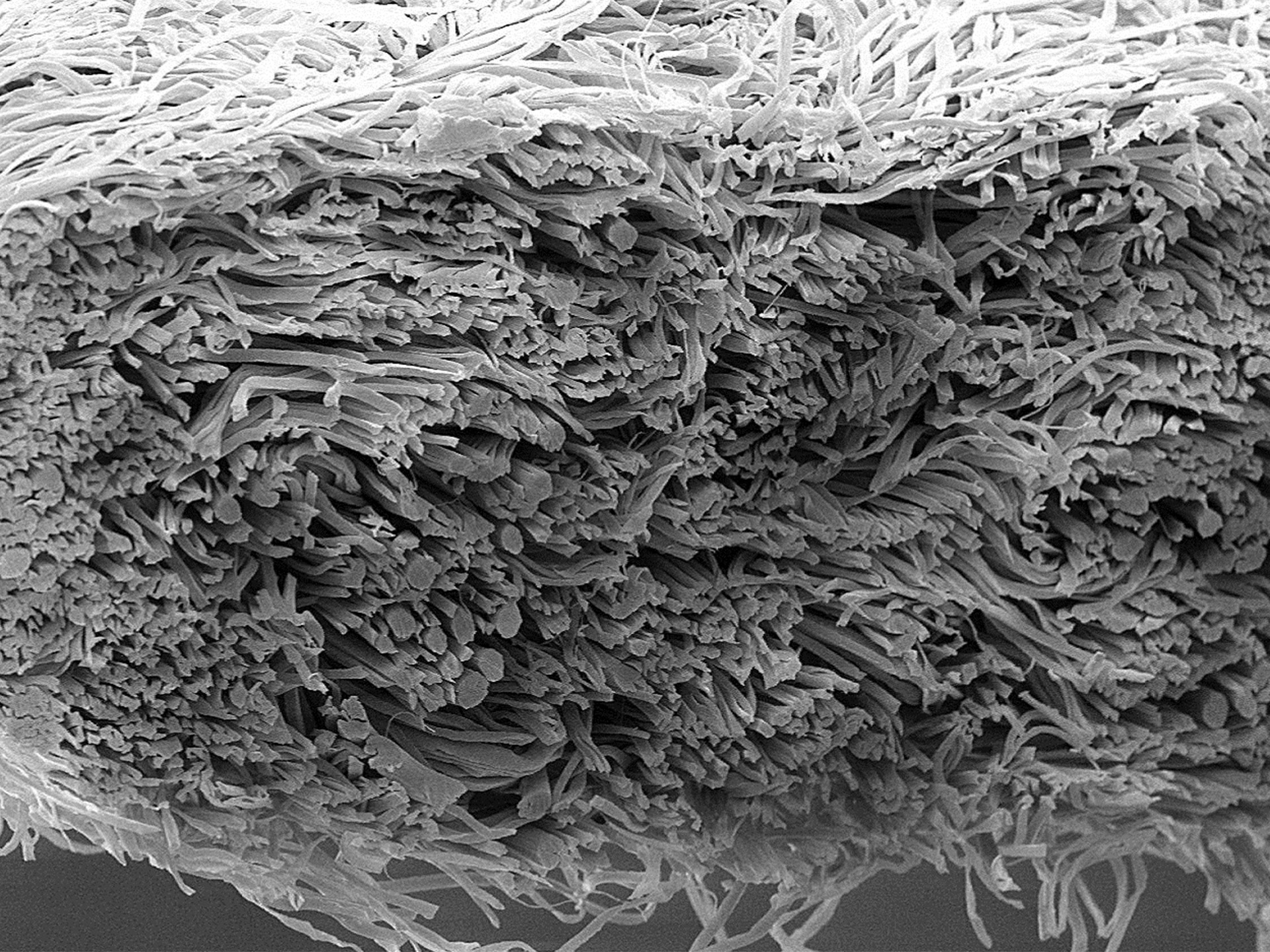 Evolon® microfilaments with optimal airflow resistance for sound absorption