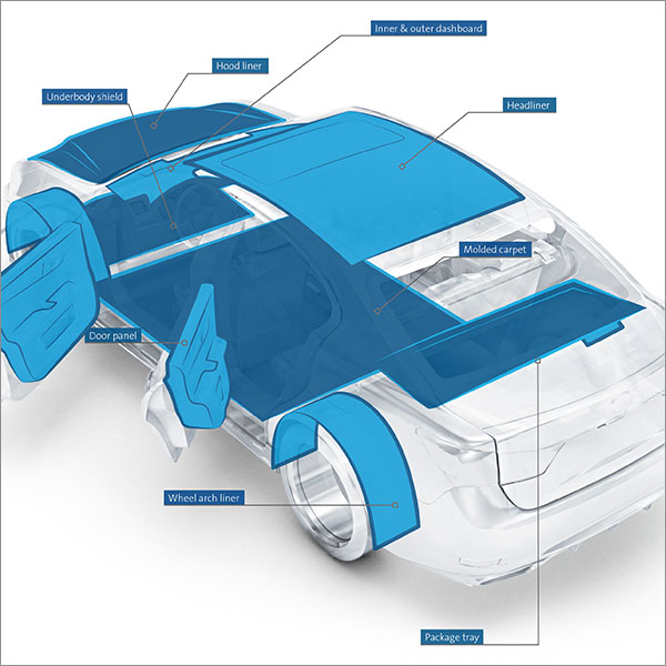 graphic_automotive_xray