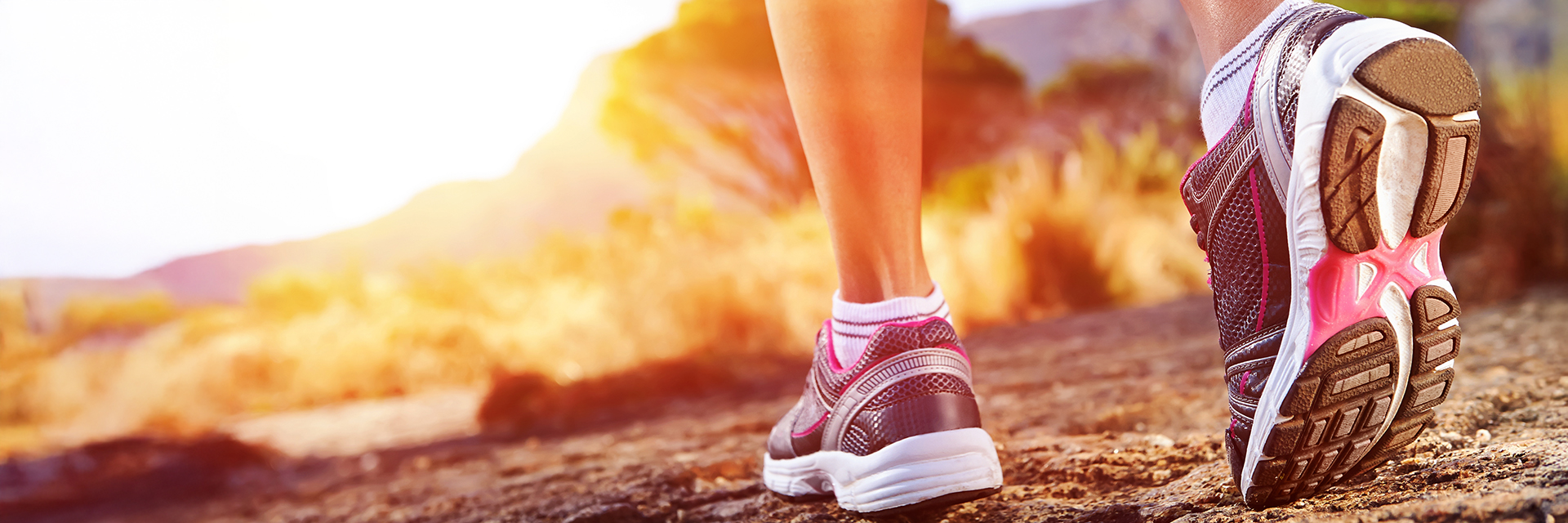 Functional Components